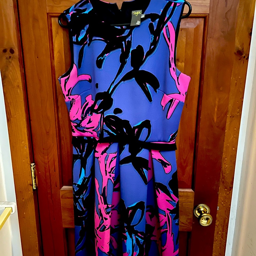 Gorgeous fit and flare Taylor dress
